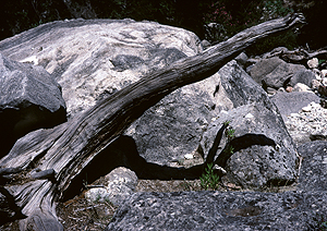 LEICA M3, SUMMICRON 2/50